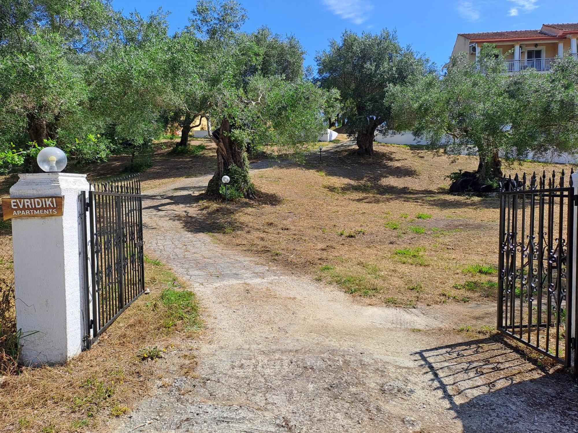 Evridiki Apartments Mesongi Bagian luar foto